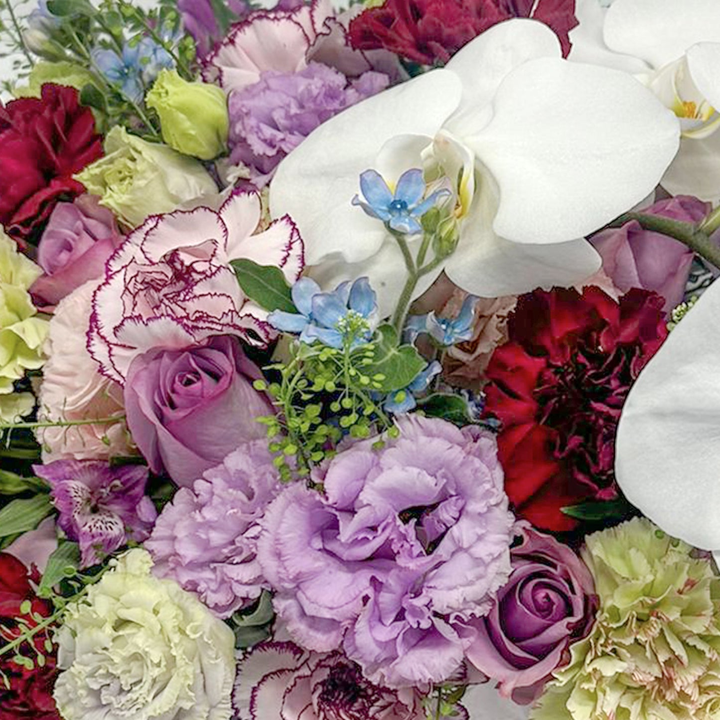 Blissful Blooms