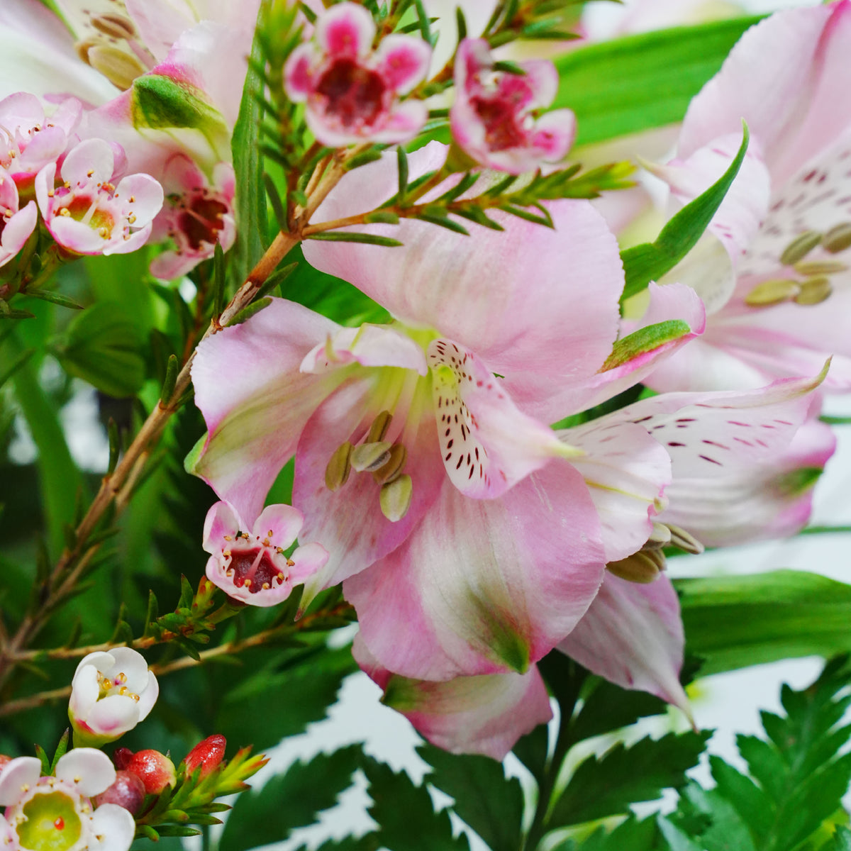 Fortune in Bloom