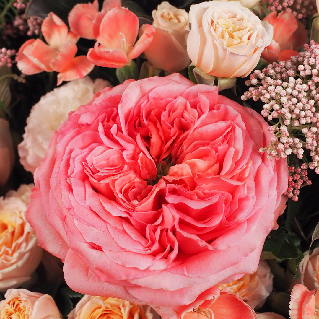 Reverie of Tenderness
