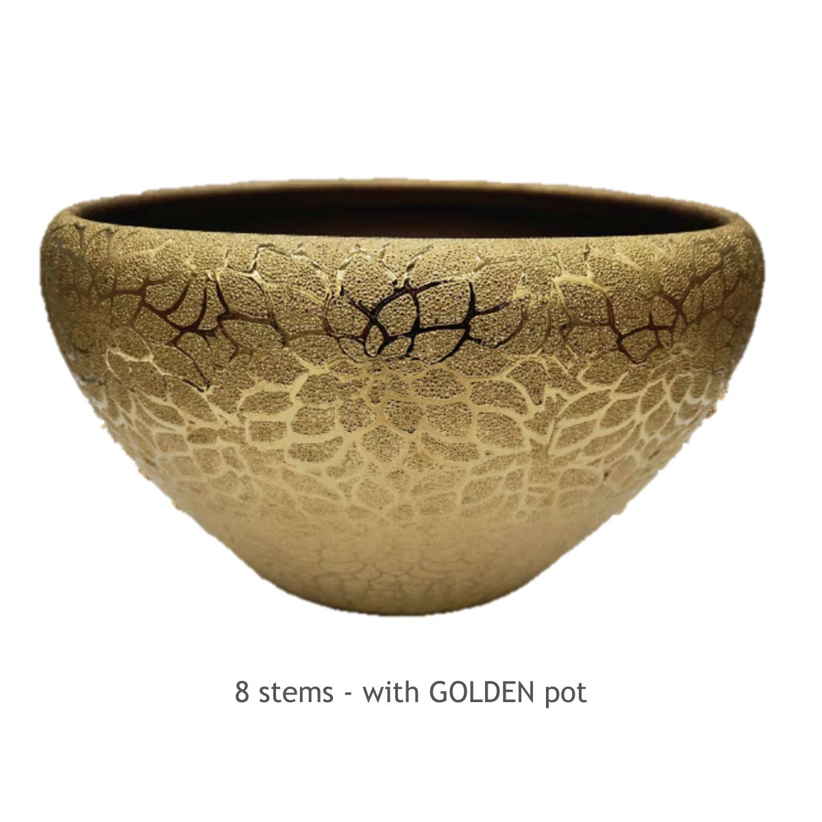 Taiwan phalaenopsis orchids - Golden treasure