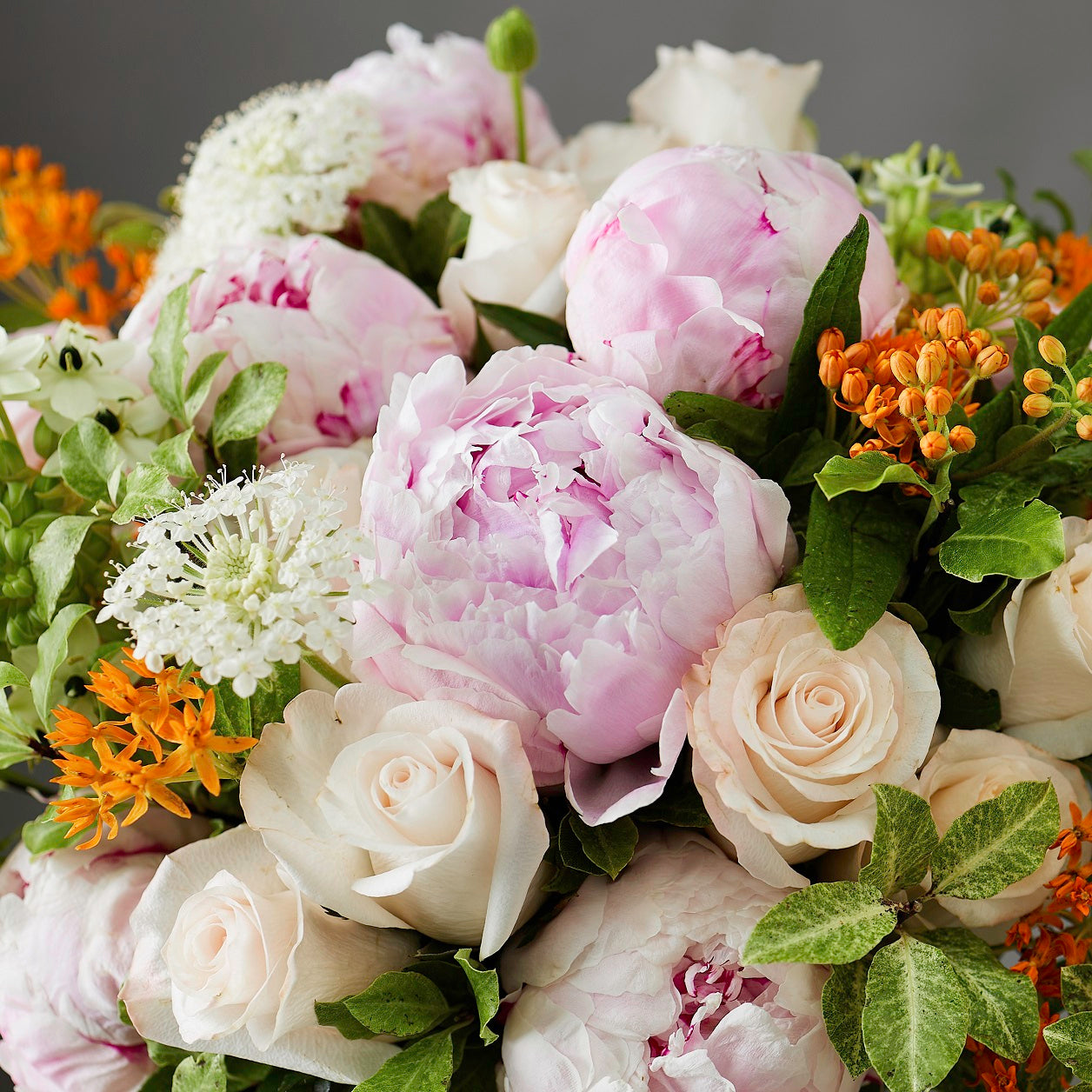 The feast of peonies