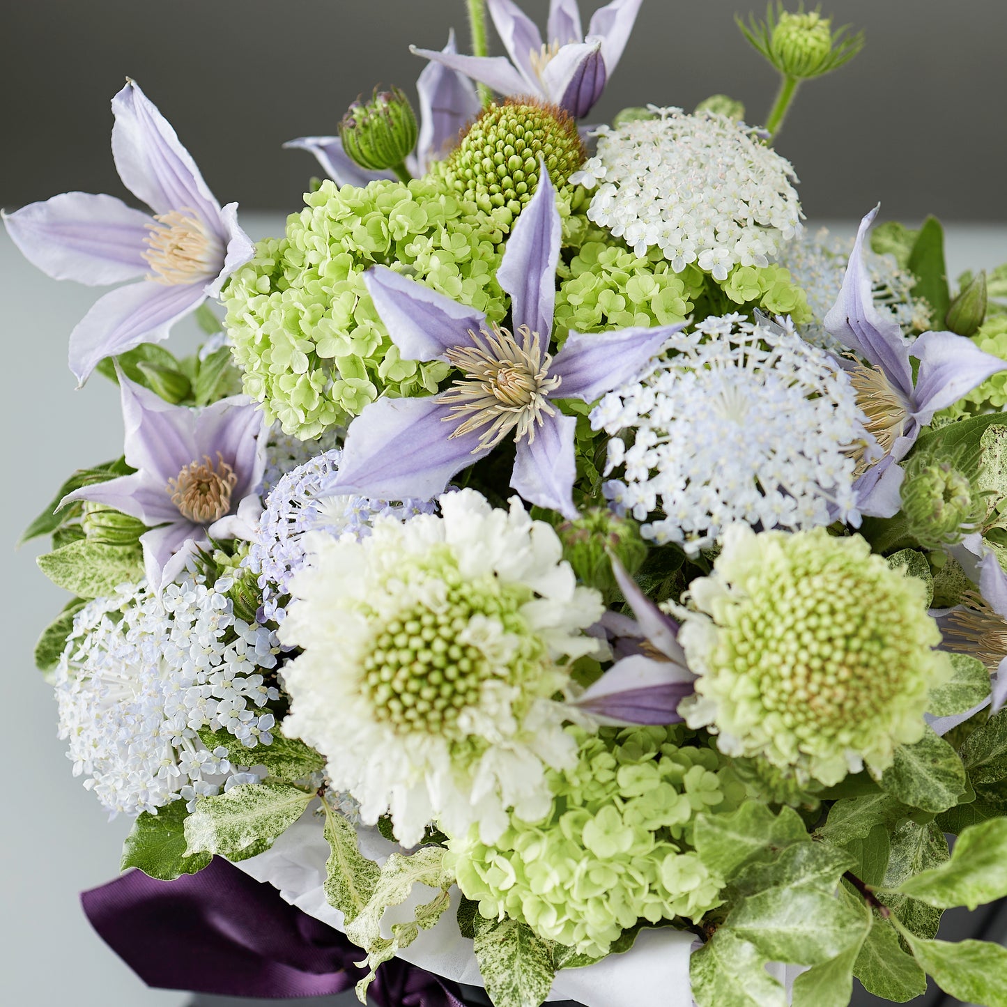 Lilac lace