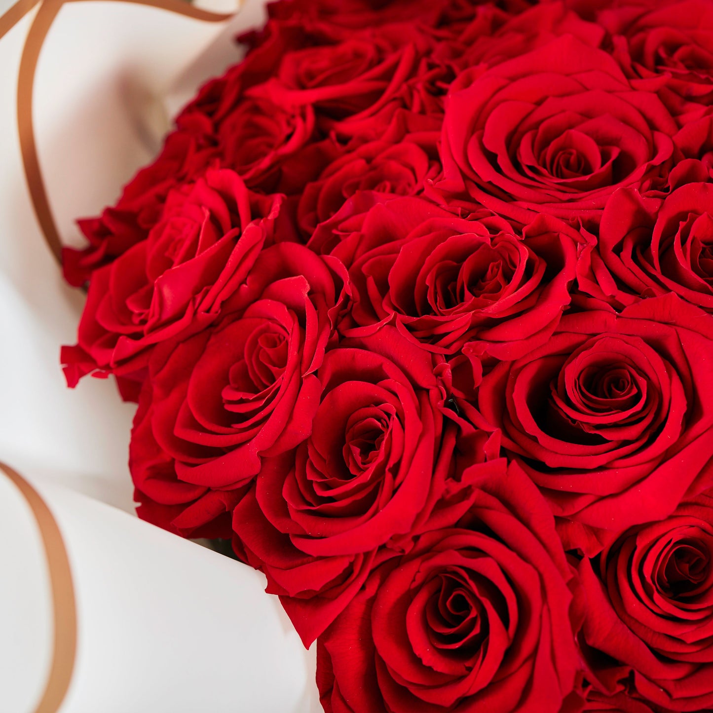 Endless love (49 pcs Preserved Roses from Ecuador)