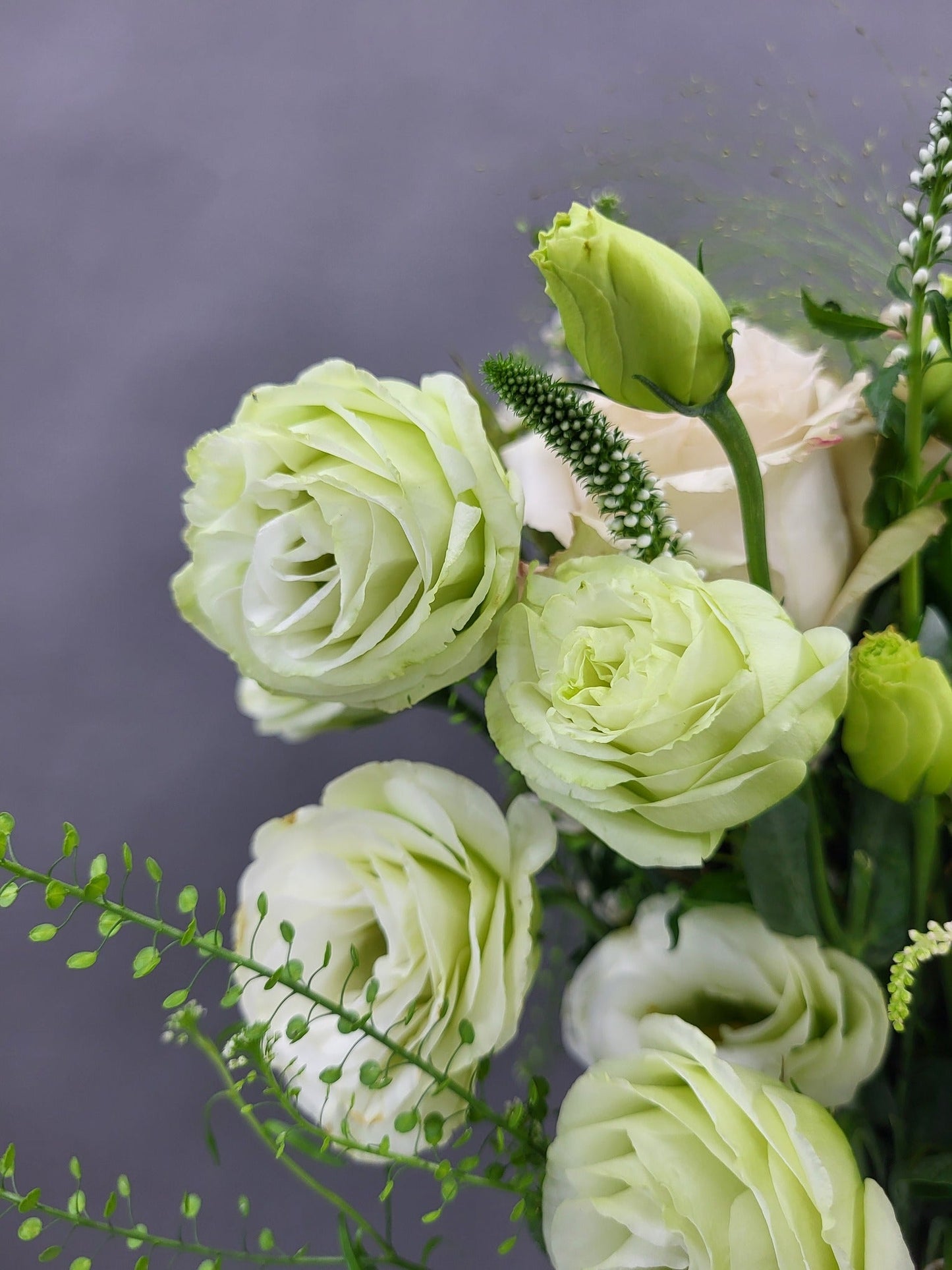 Victorian Blooms