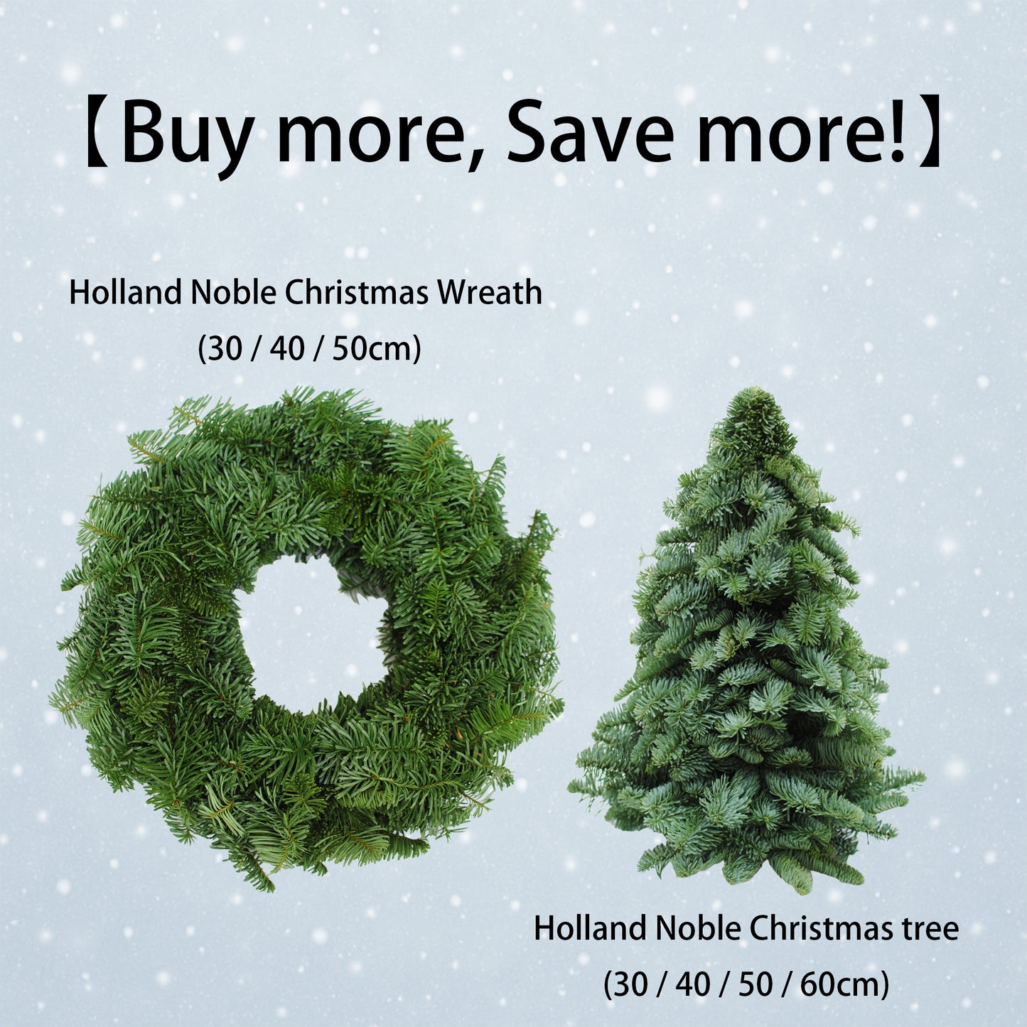 【Buy more, Save more!】Holland Nobilis Wreath & Tree