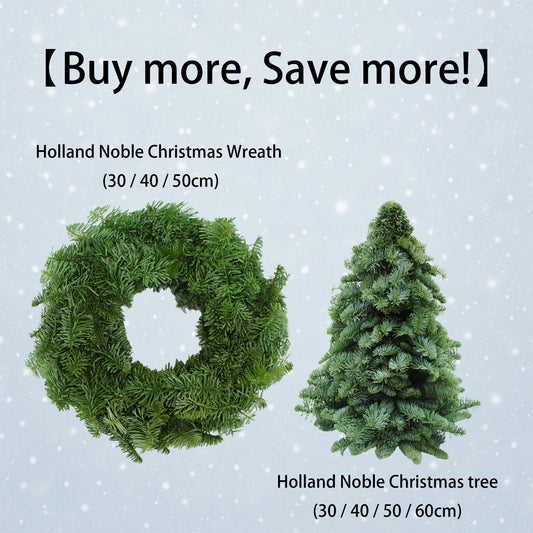【Buy more, Save more!】Holland Nobilis Wreath & Tree