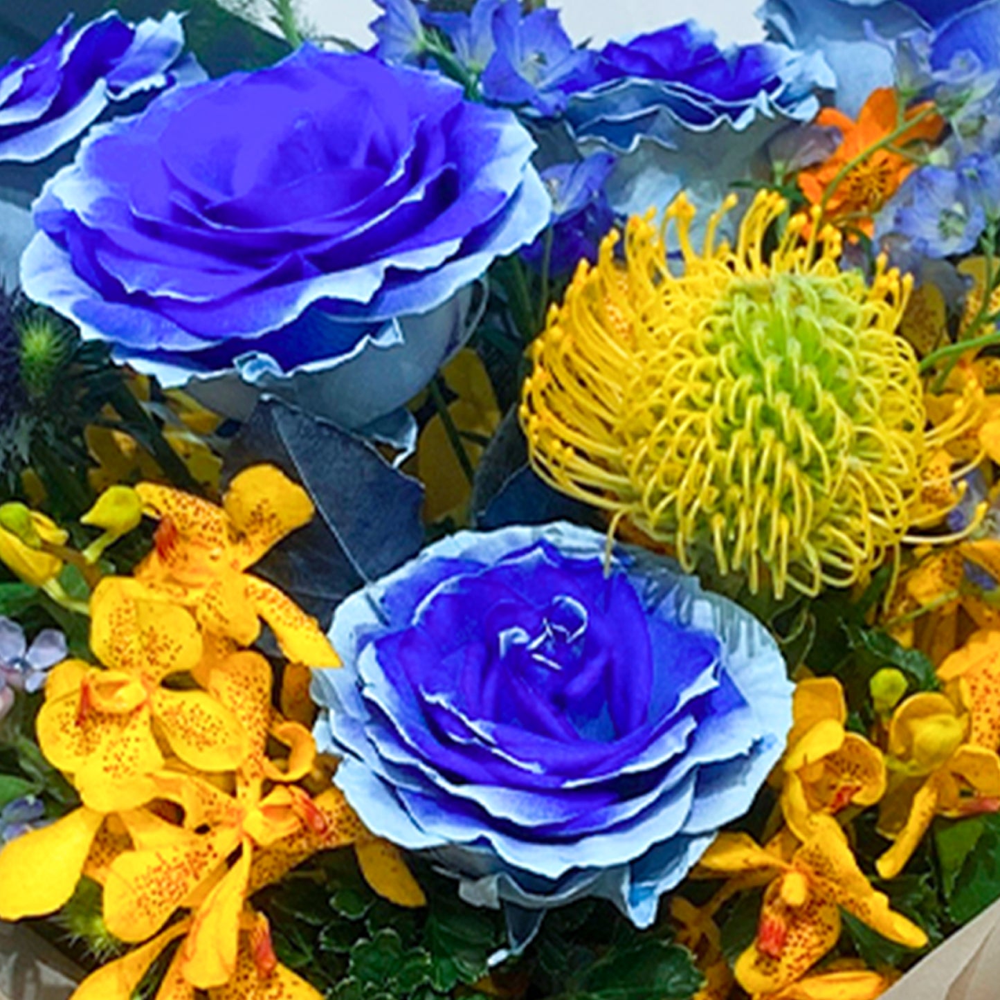 GODIVA Blue Moon