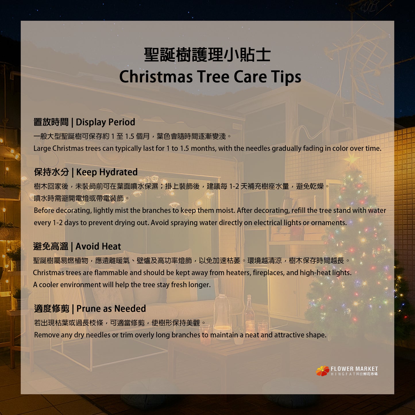 Premium Noble Fir Christmas Tree