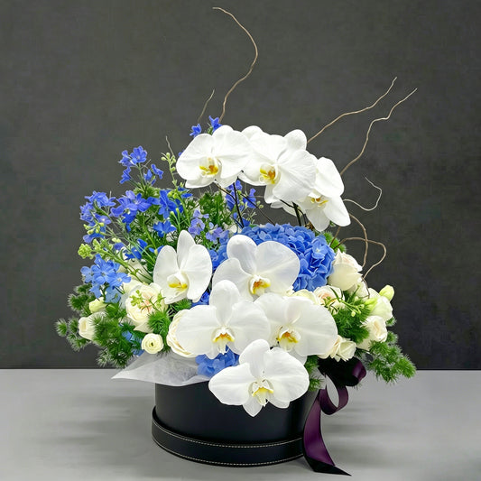 Covenant of Blue