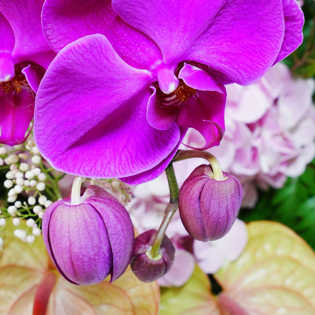 Fortune in Bloom