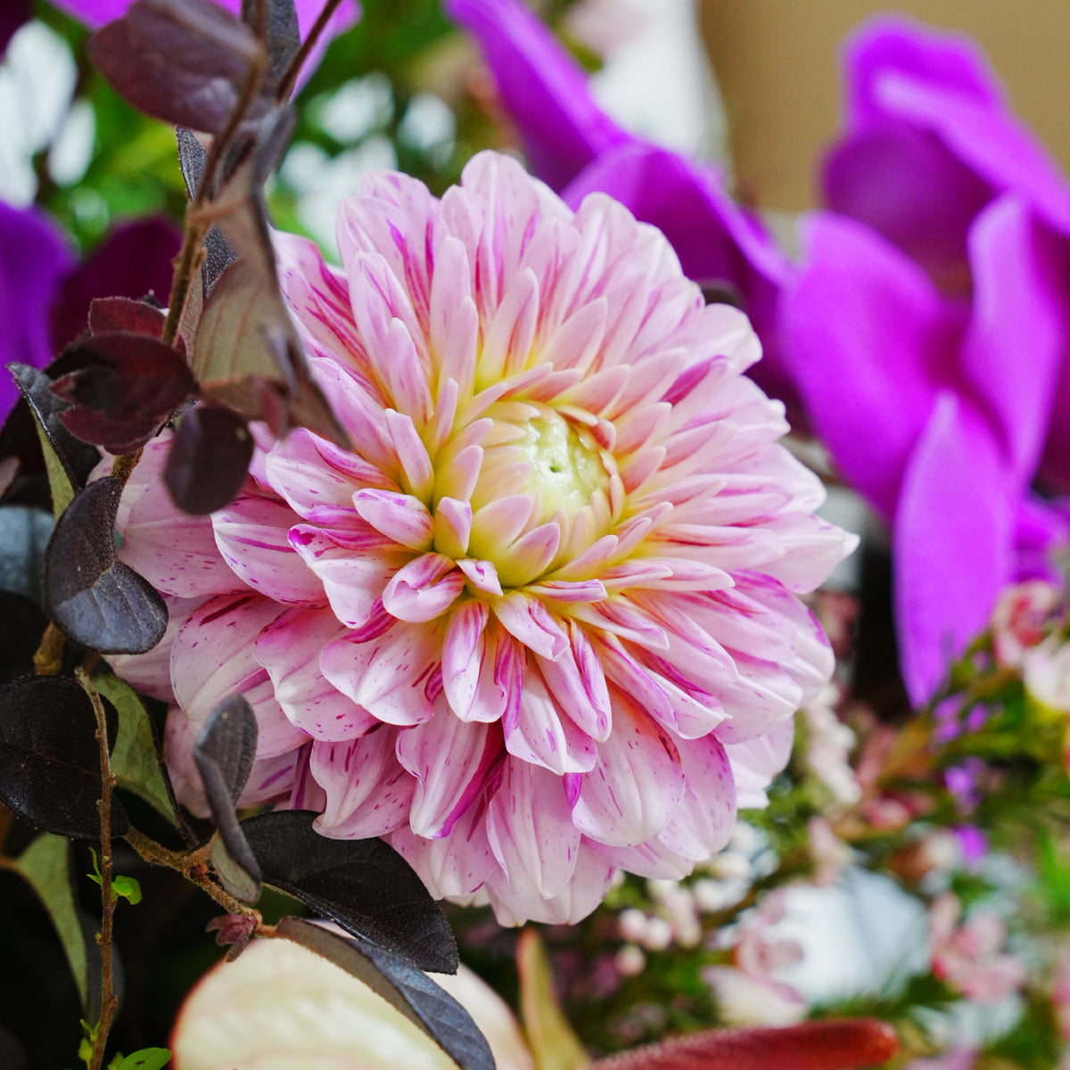 Fortune in Bloom