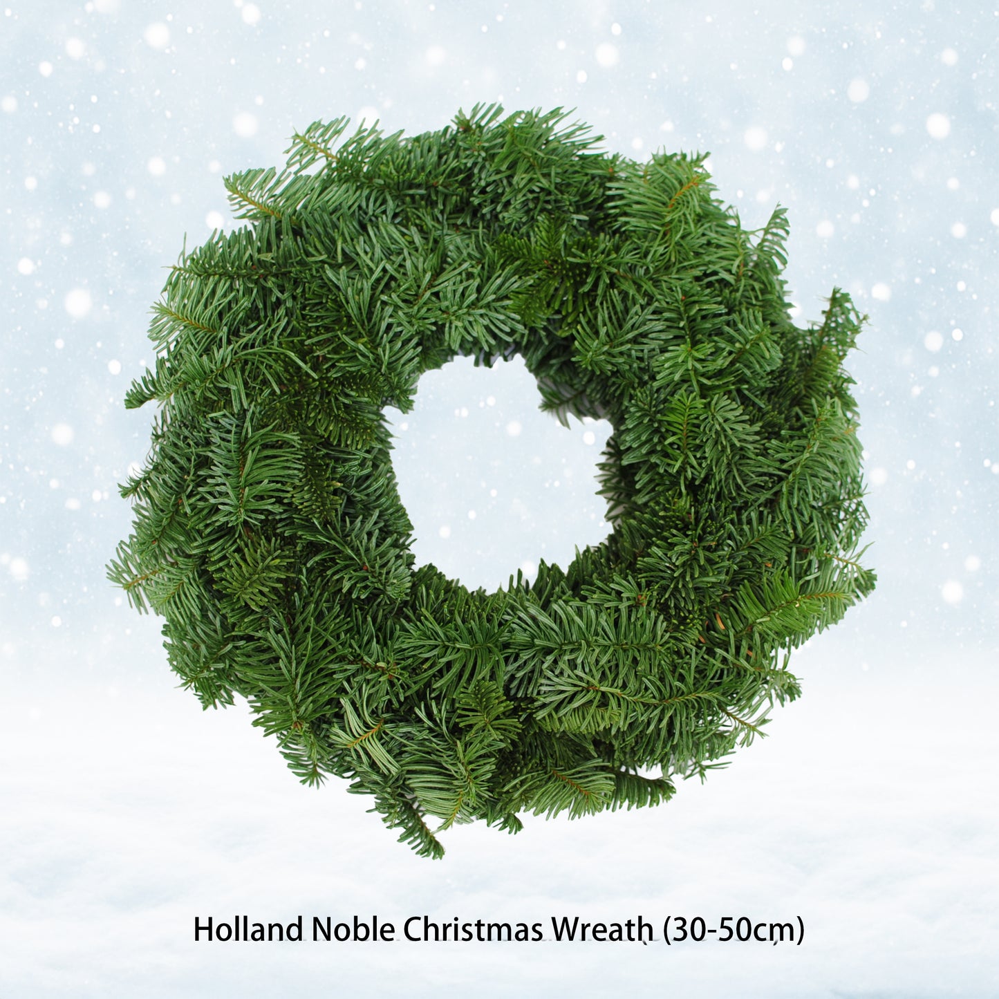 【Buy more, Save more!】Holland Nobilis Wreath & Tree