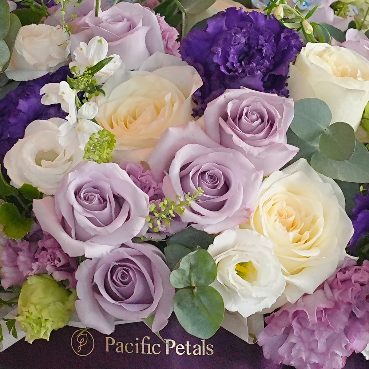 Lilac Elegance