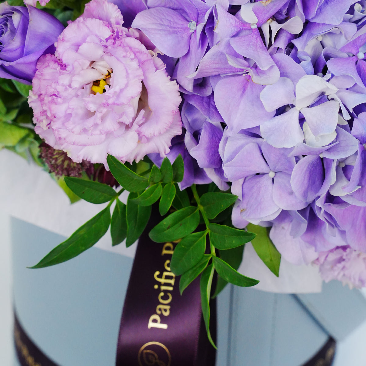 Lilac Fortune