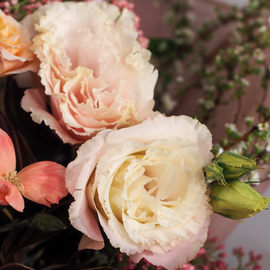 Reverie of Tenderness