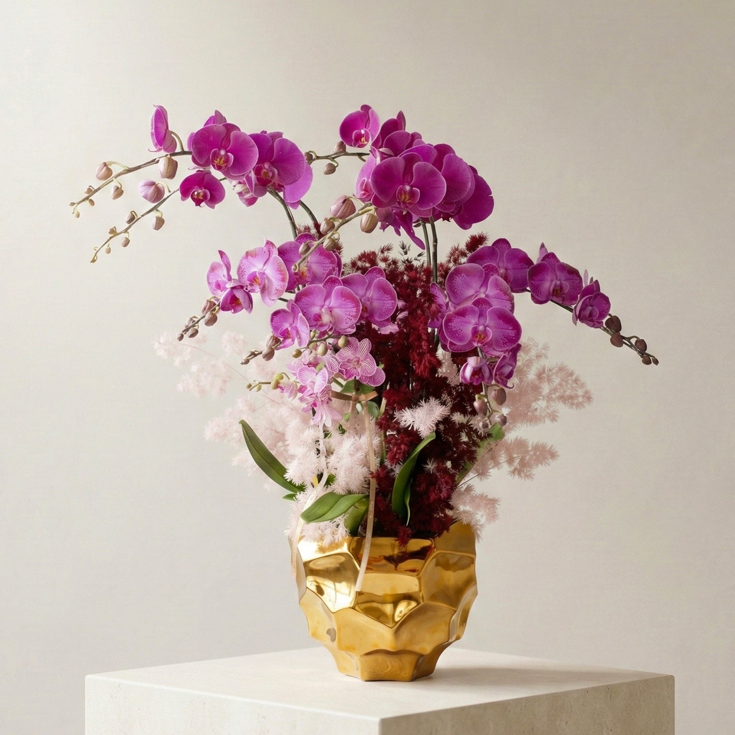 Phalaenopsis Orchids - Butterflies dancing in Sakura Mountain