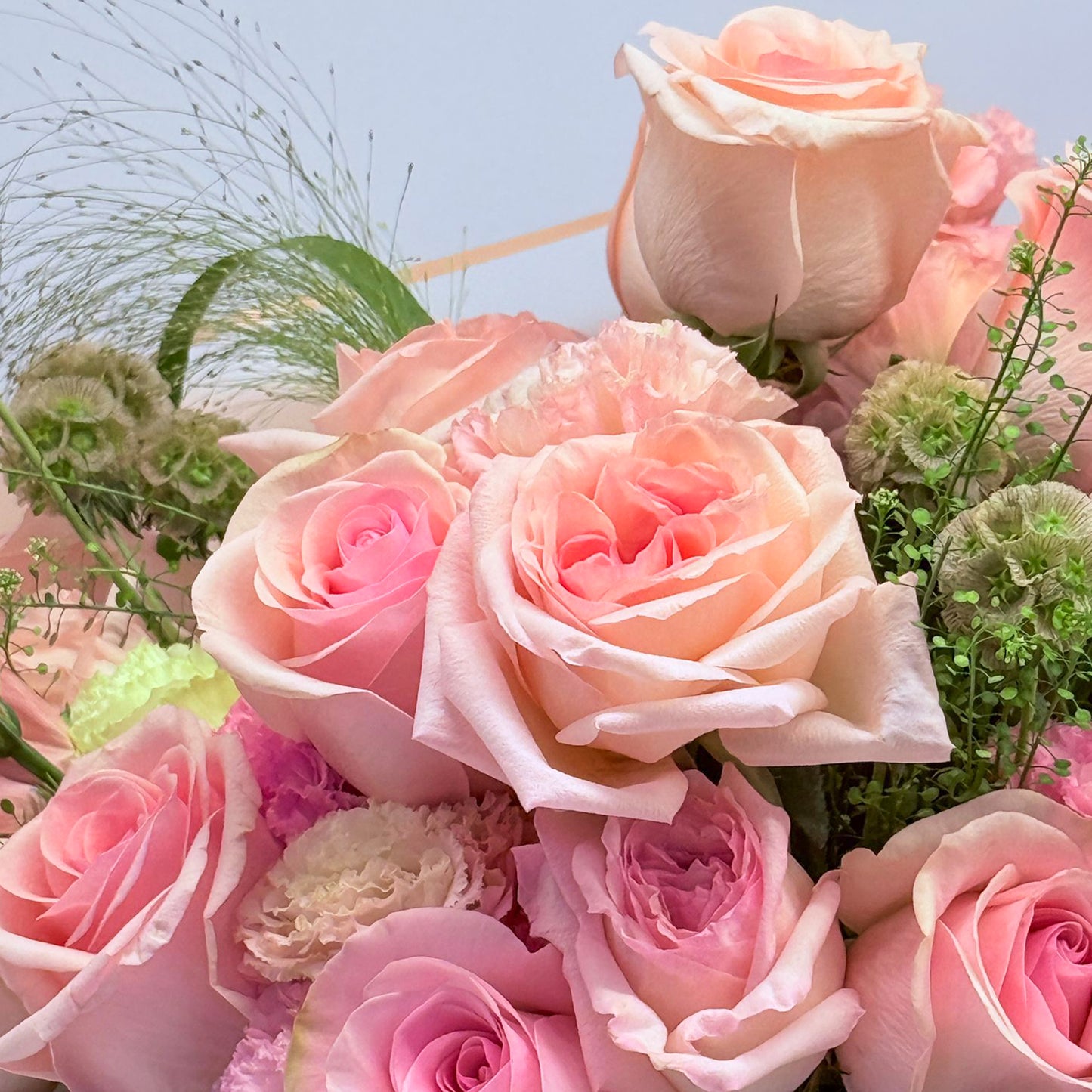 Rosy Radiance
