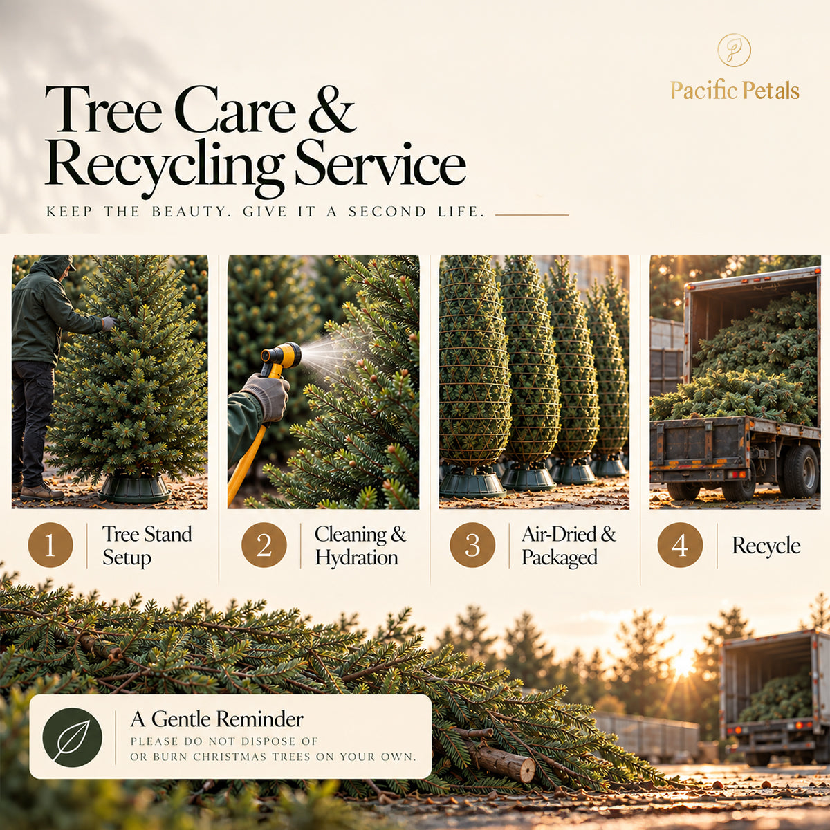 $500 Christmas Tree Upgrade Service: Hydration & Recycling