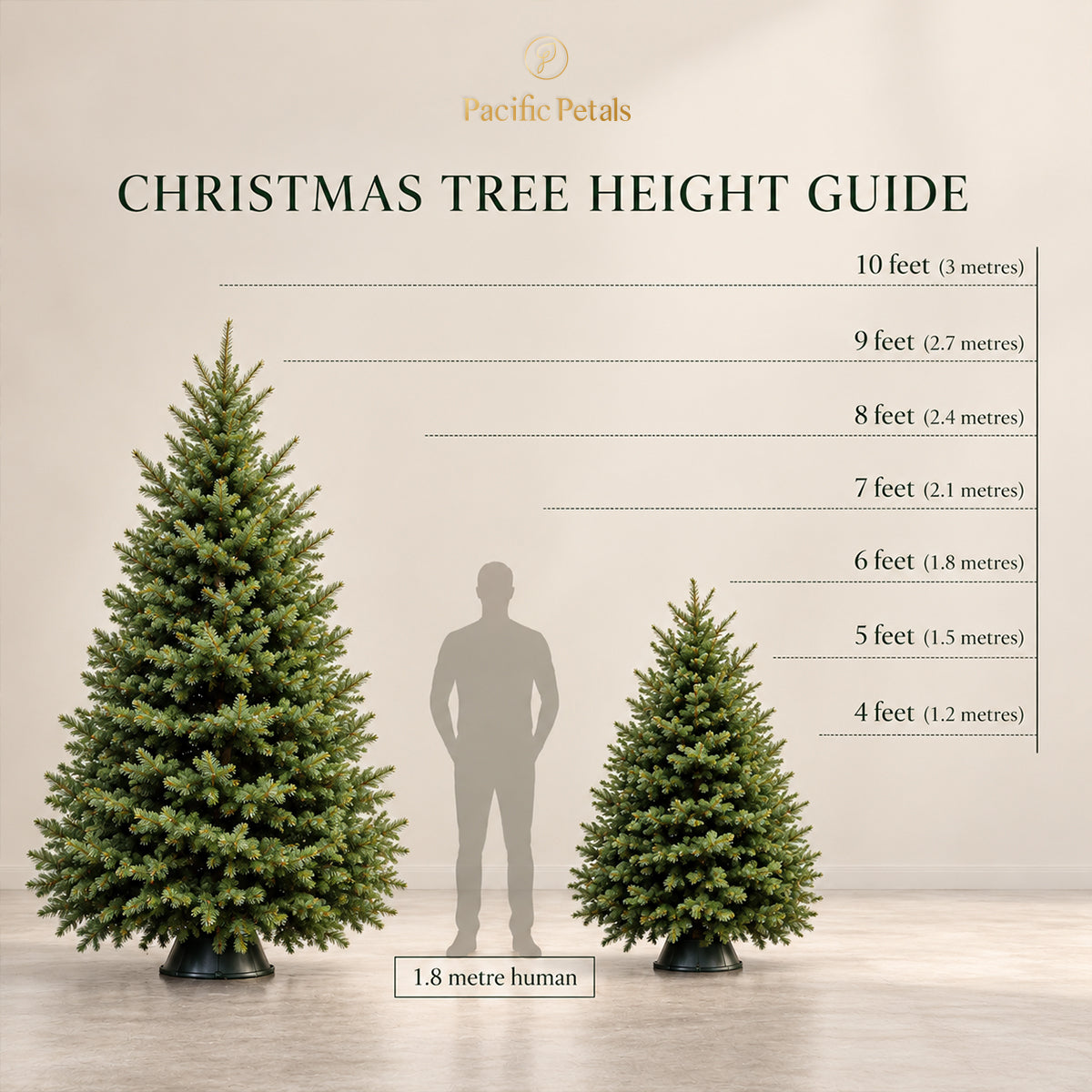 Premium Noble Fir Christmas Tree