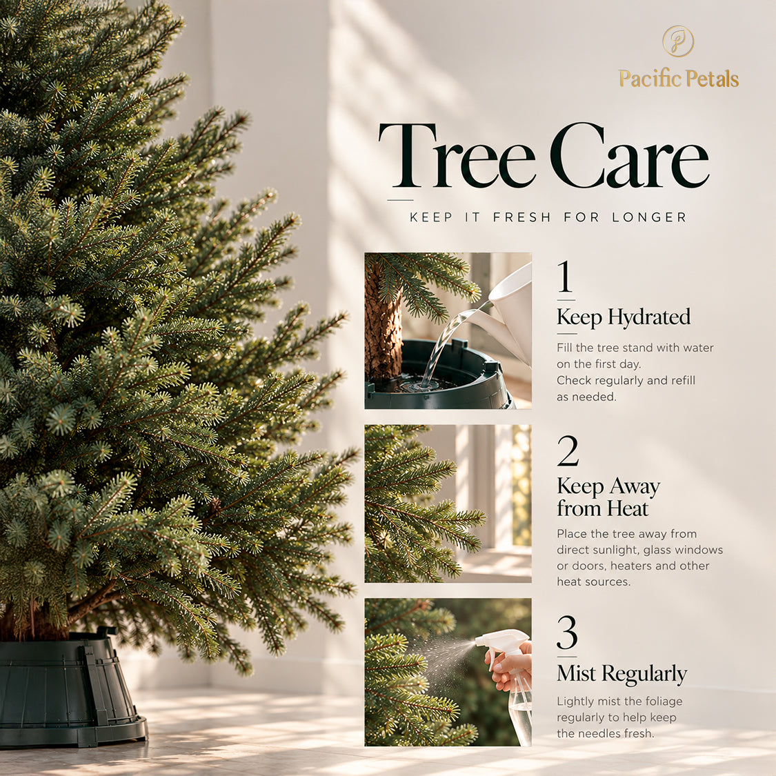 Premium Noble Fir Christmas Tree
