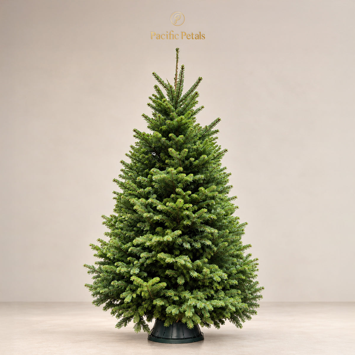 Premium Noble Fir Christmas Tree