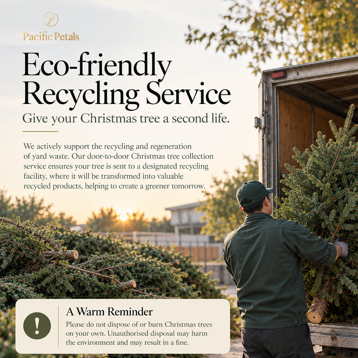 $500 Christmas Tree Upgrade Service: Hydration & Recycling