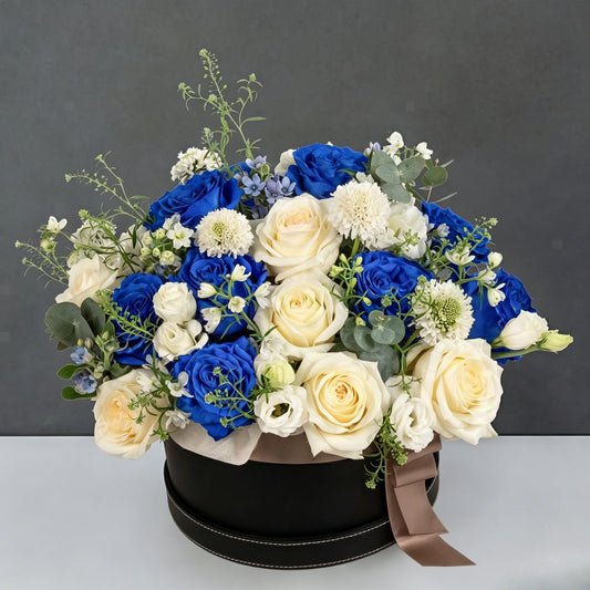 Sapphire Dream
