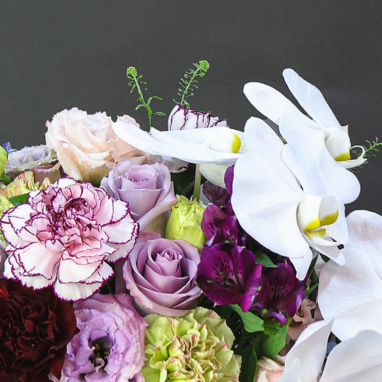 Blissful Blooms