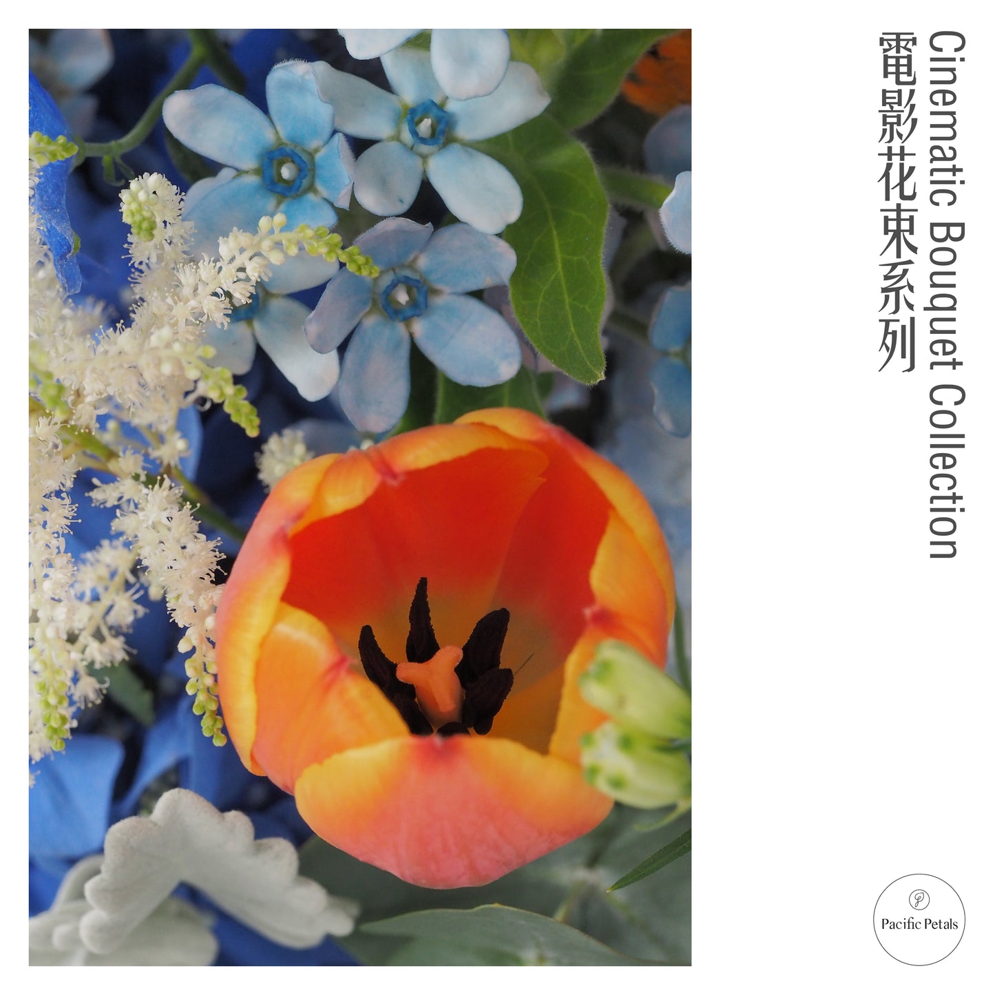 Eternal Sunshine of the Spotless Mind (2004)