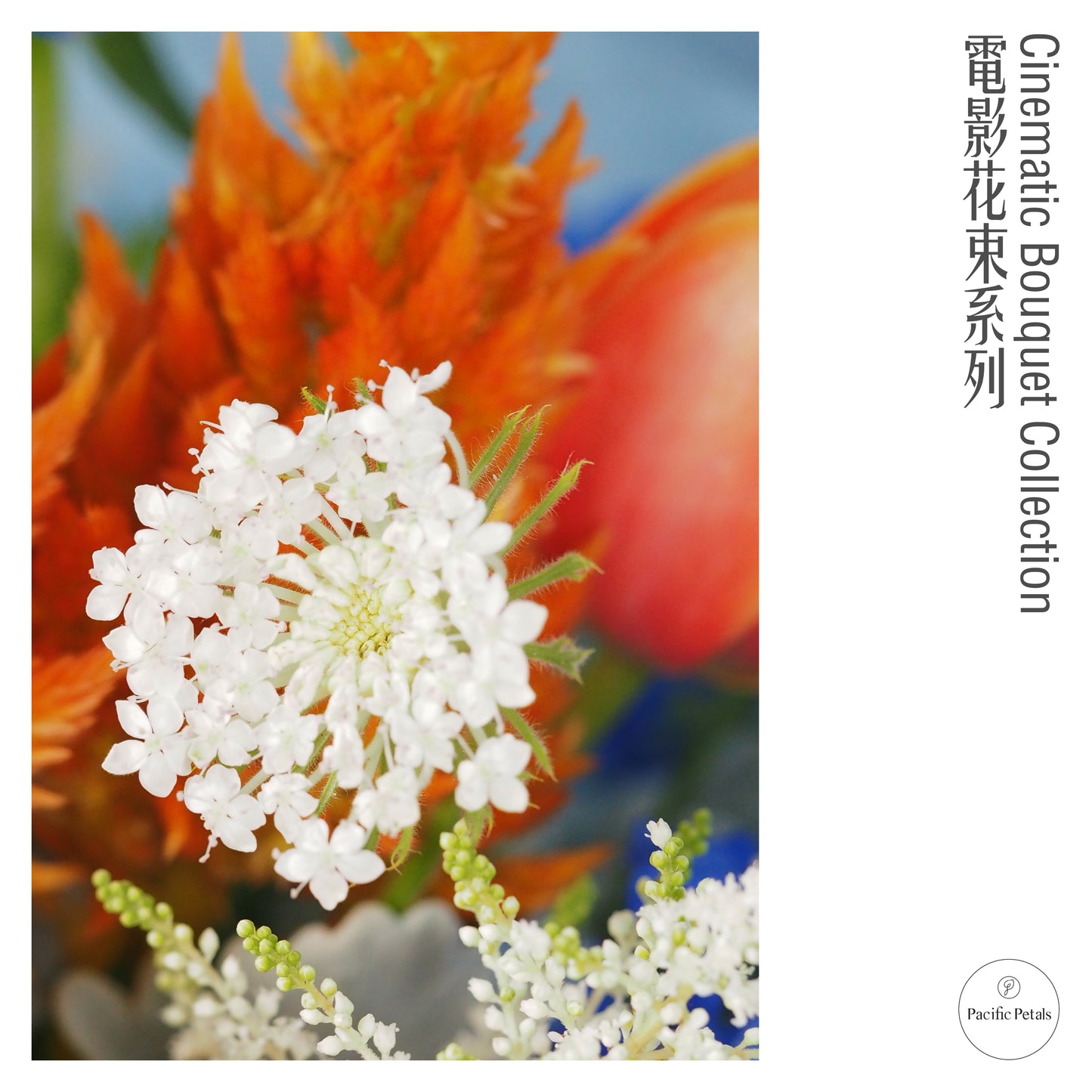 Eternal Sunshine of the Spotless Mind (2004)