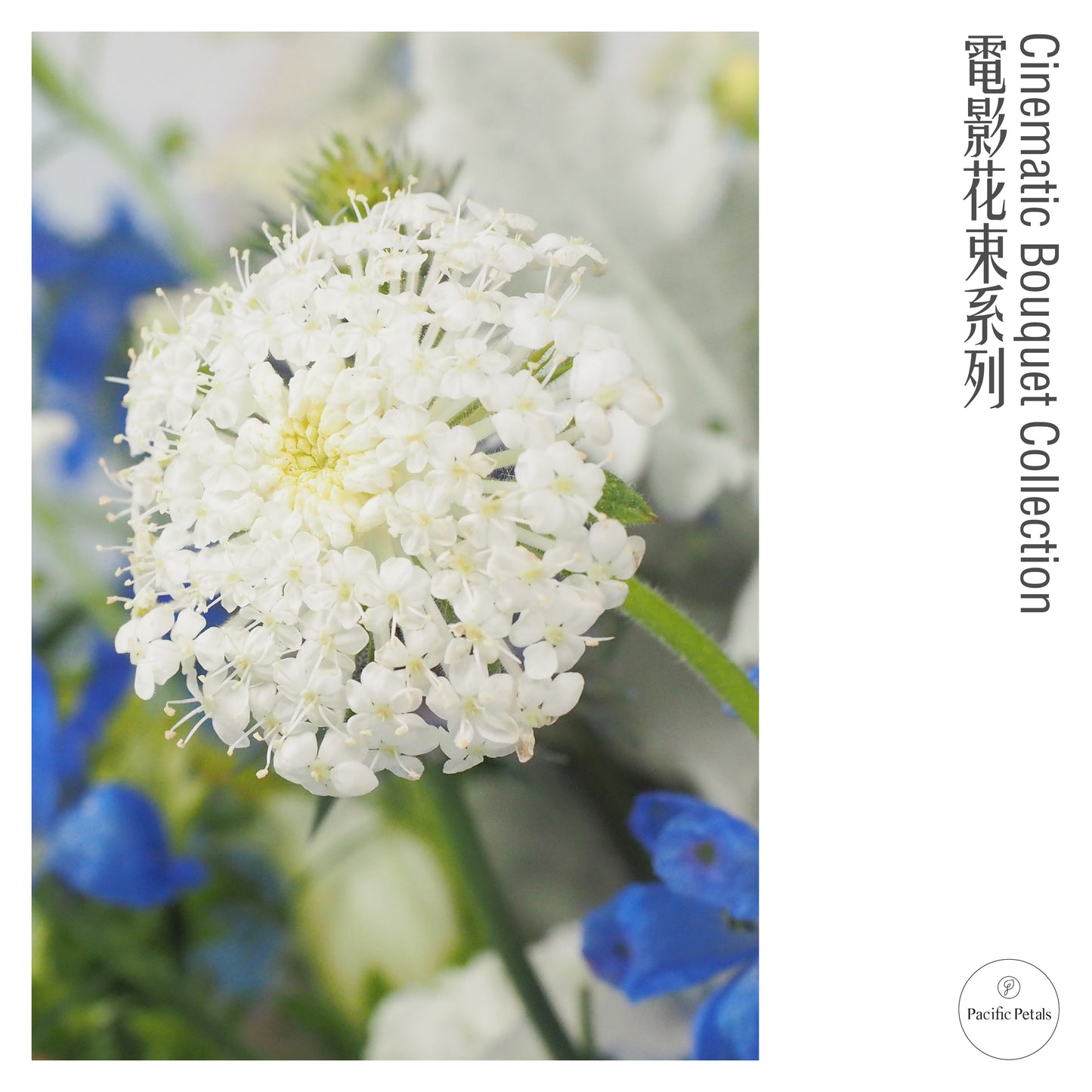 Eternal Sunshine of the Spotless Mind (2004)