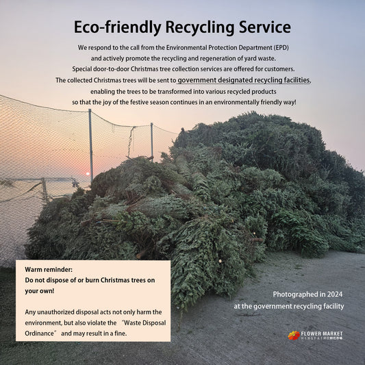 $400 Recycling Service