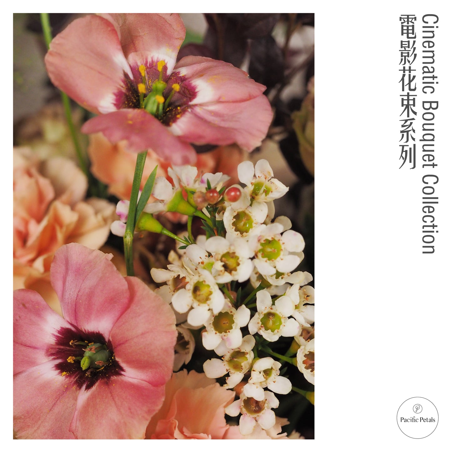 Somewhere In Time (1980)