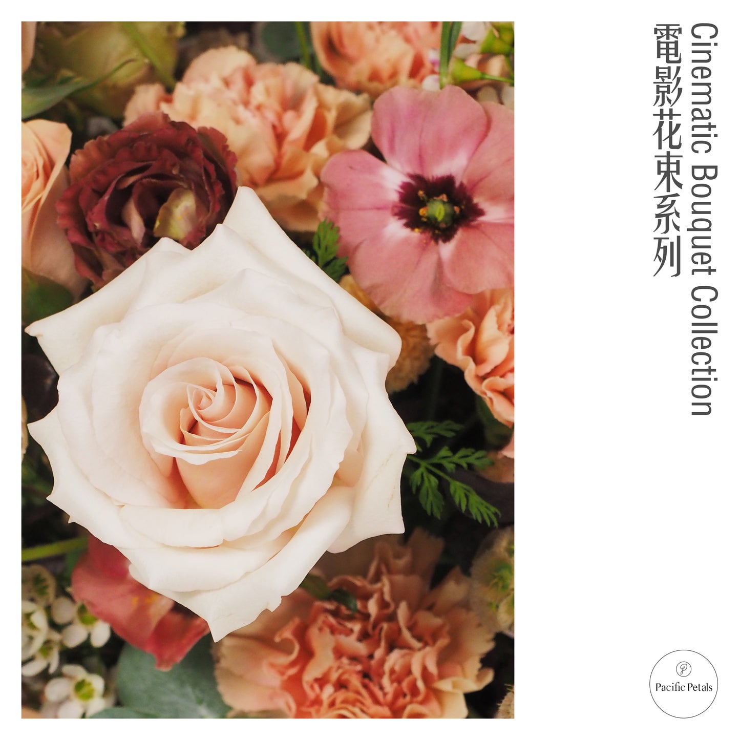 Somewhere In Time (1980)