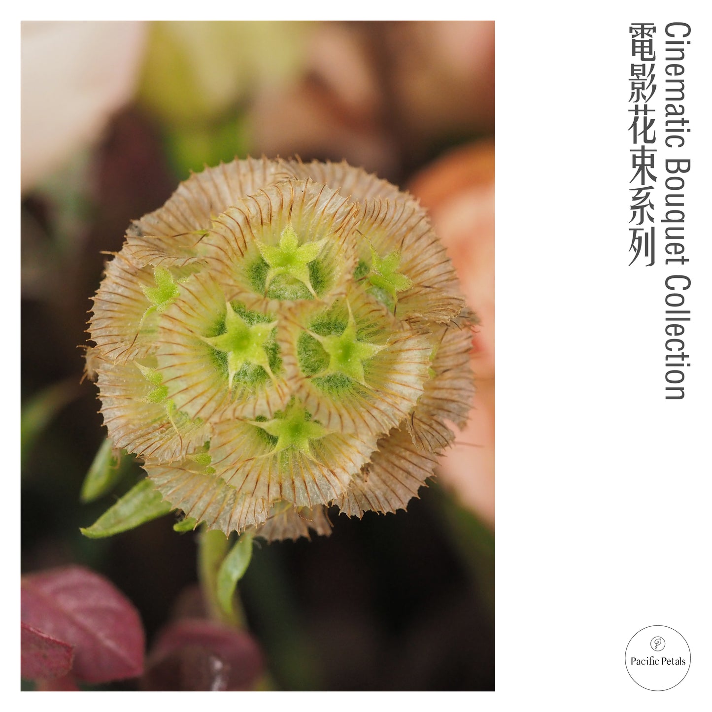 Somewhere In Time (1980)