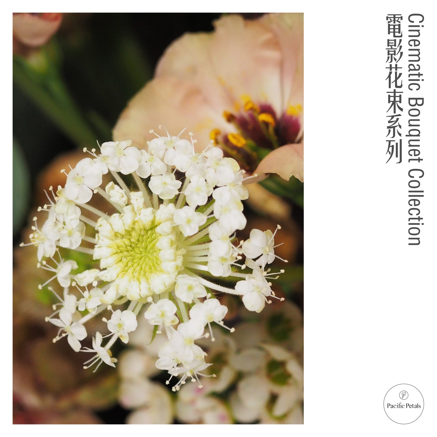 Somewhere In Time (1980)