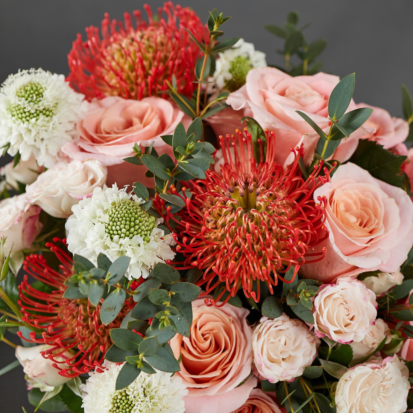 Coral splash